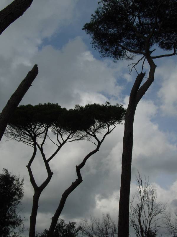 Controluce...
